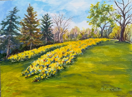 Dutch Blooms in Springbank!
