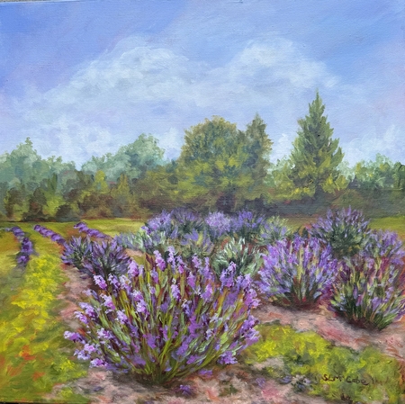 Fields Of Fragrance