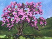 Springbank Park Cherry Blossom Tree